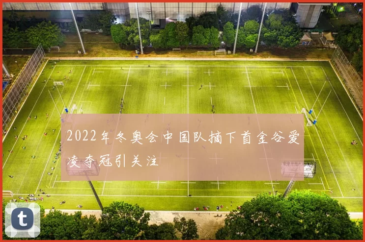 2022年冬奥会中国队摘下首金谷爱凌夺冠引关注