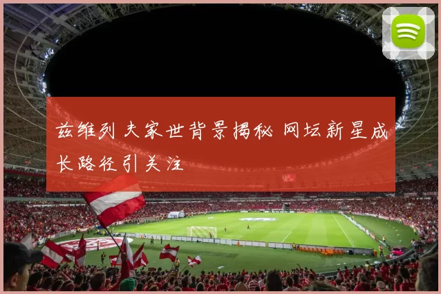 兹维列夫家世背景揭秘 网坛新星成长路径引关注