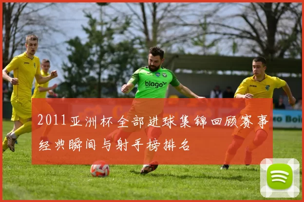 2011亚洲杯全部进球集锦回顾赛事经典瞬间与射手榜排名