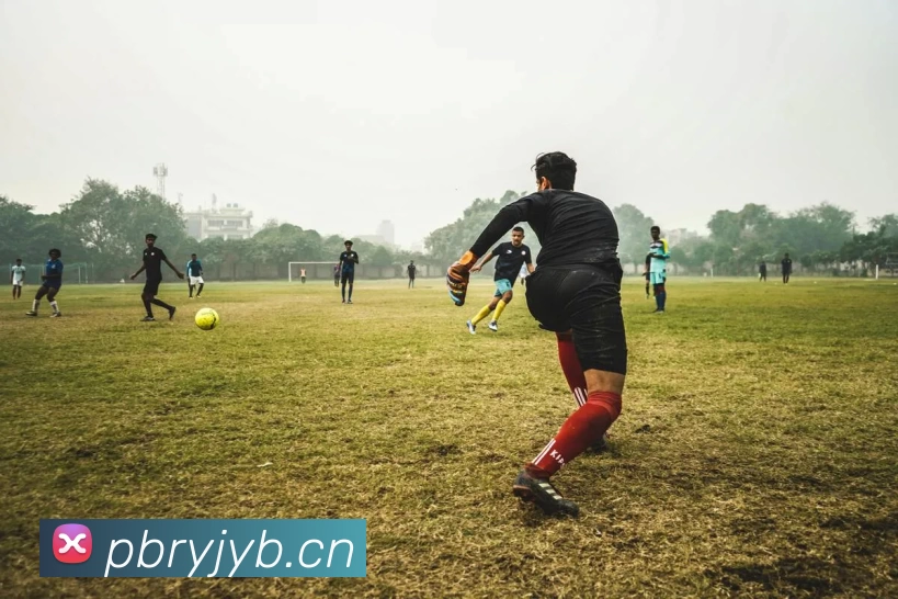 2018世界杯官网发展历程