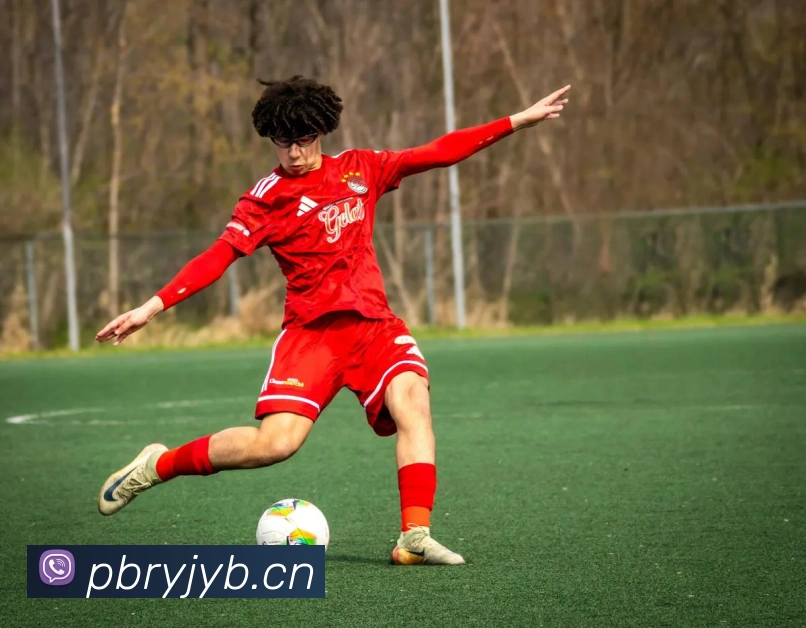 bsports官方登录入口全站App